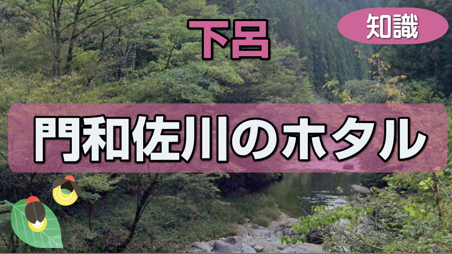 門和佐川のホタル